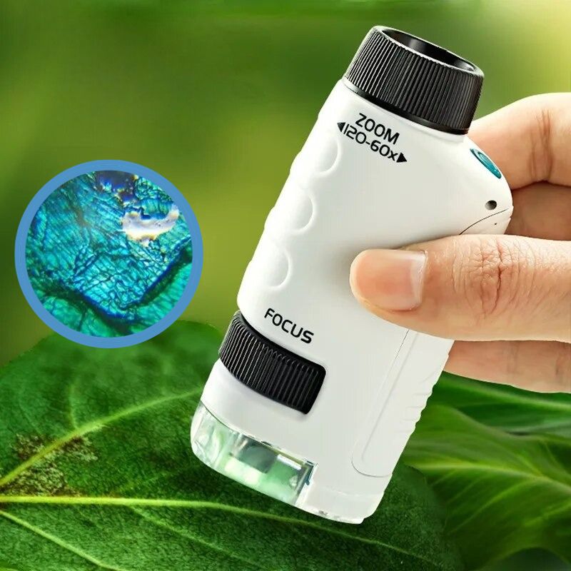 Montessori Microscope™ - Pocket Microscope – Montessori World™