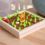 Montessori Carrots™- Educational Garden