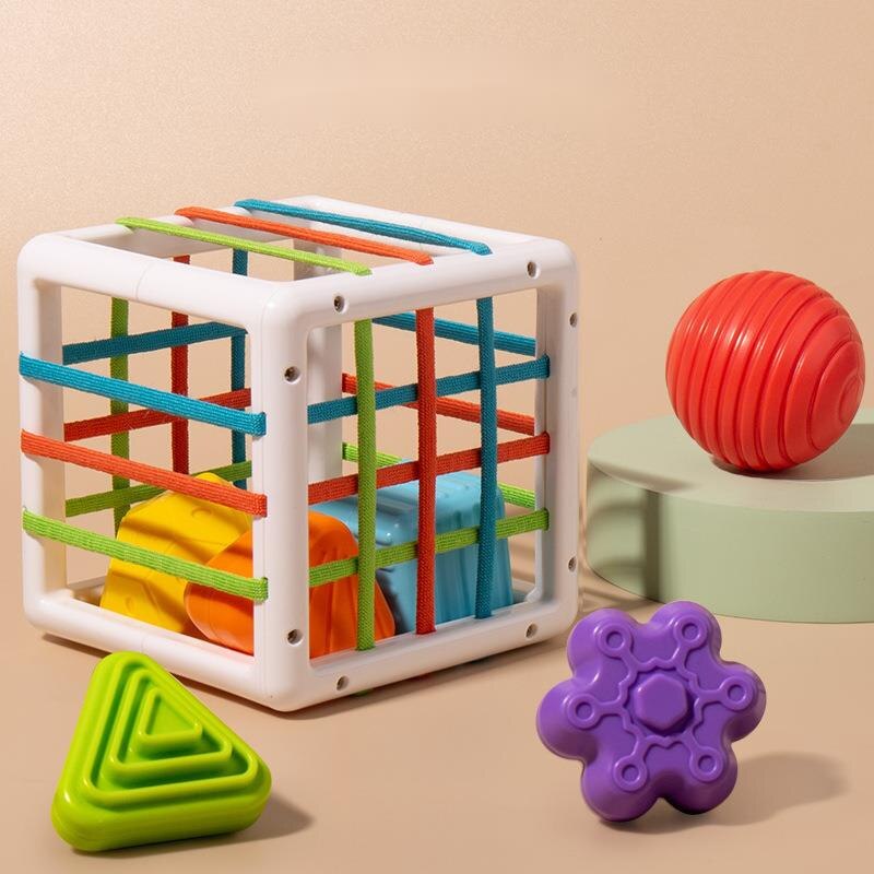 Montessori Box™- Educational Box