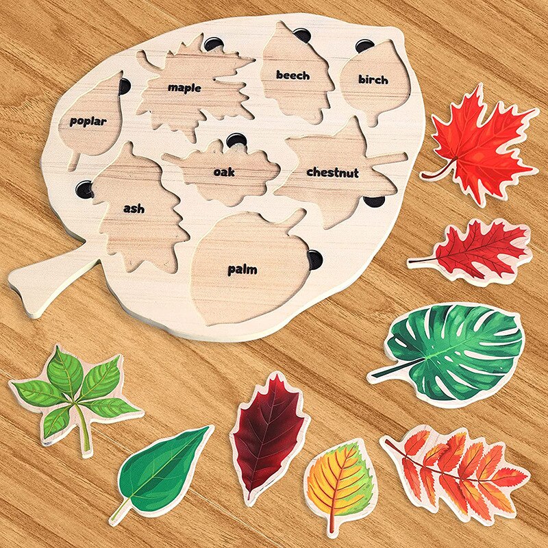 Montessori Leaves™- Educational Leaves